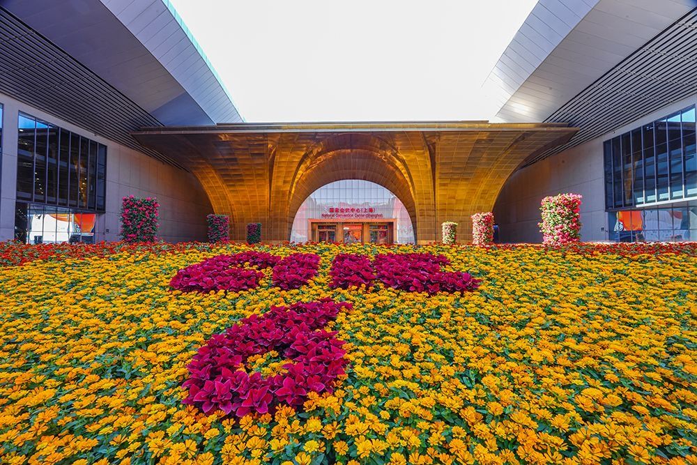 從小展位到大品牌的進(jìn)博會醫(yī)療器械與醫(yī)藥保健展區(qū)展位設(shè)計搭建